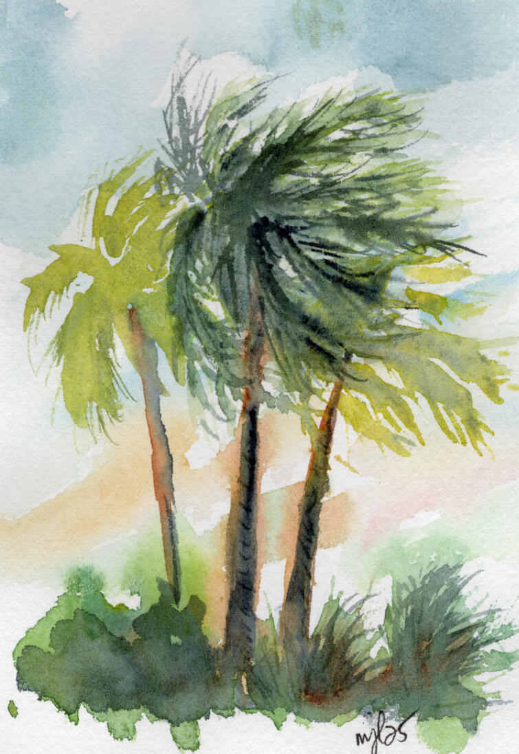 Watercolor 4 x 6 "Windy Palms" $36