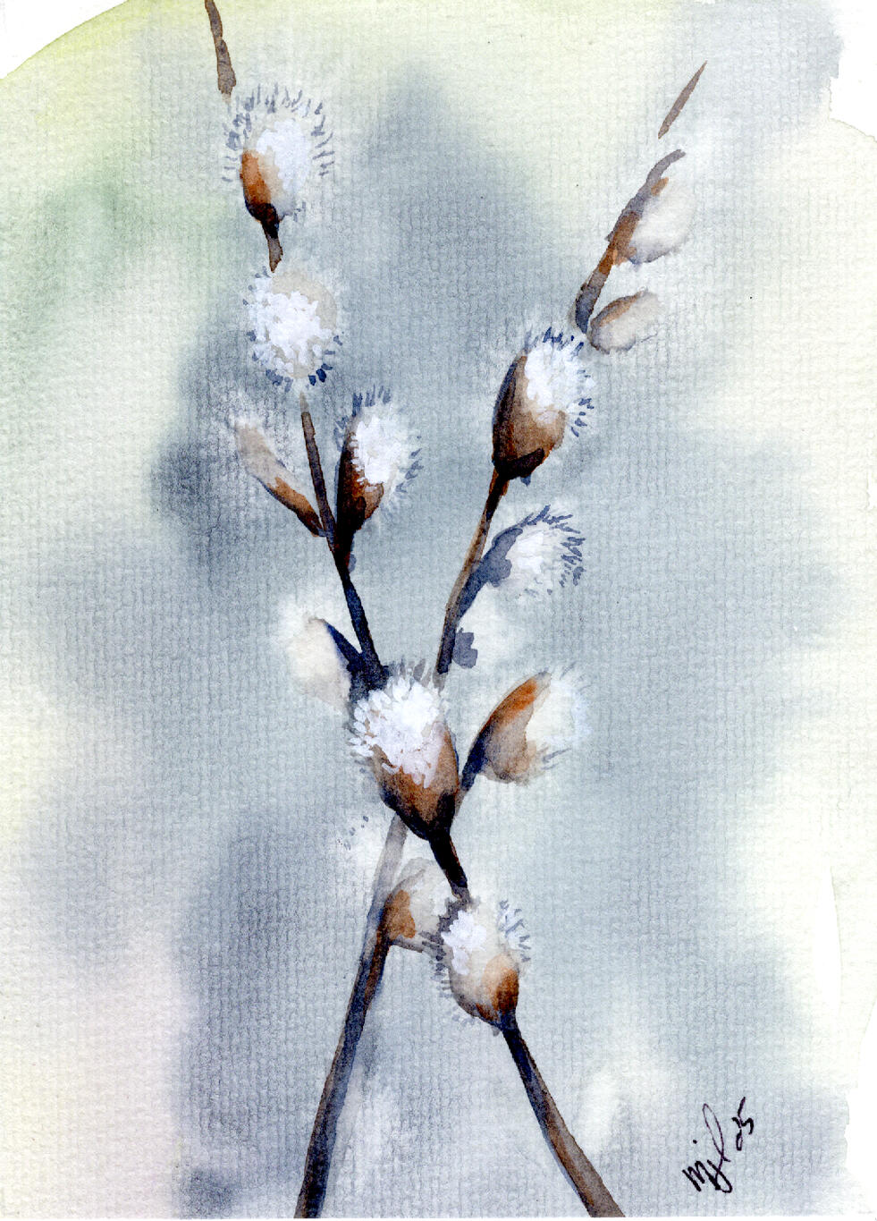 Watercolor 5 x 7 "Two Pussywillows" Private Collection