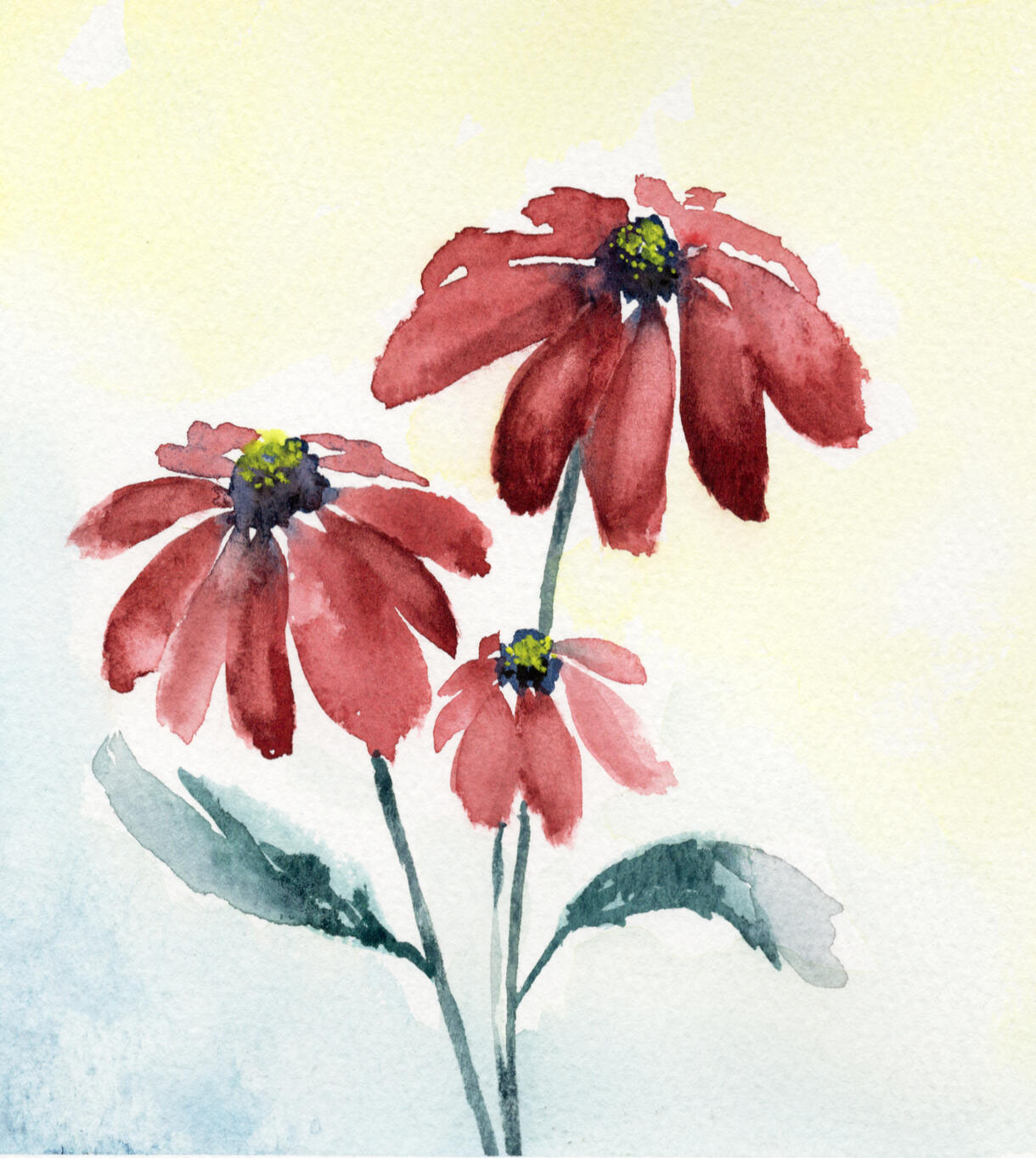 Watercolor 6 x 6 "Echinacea Three" $54