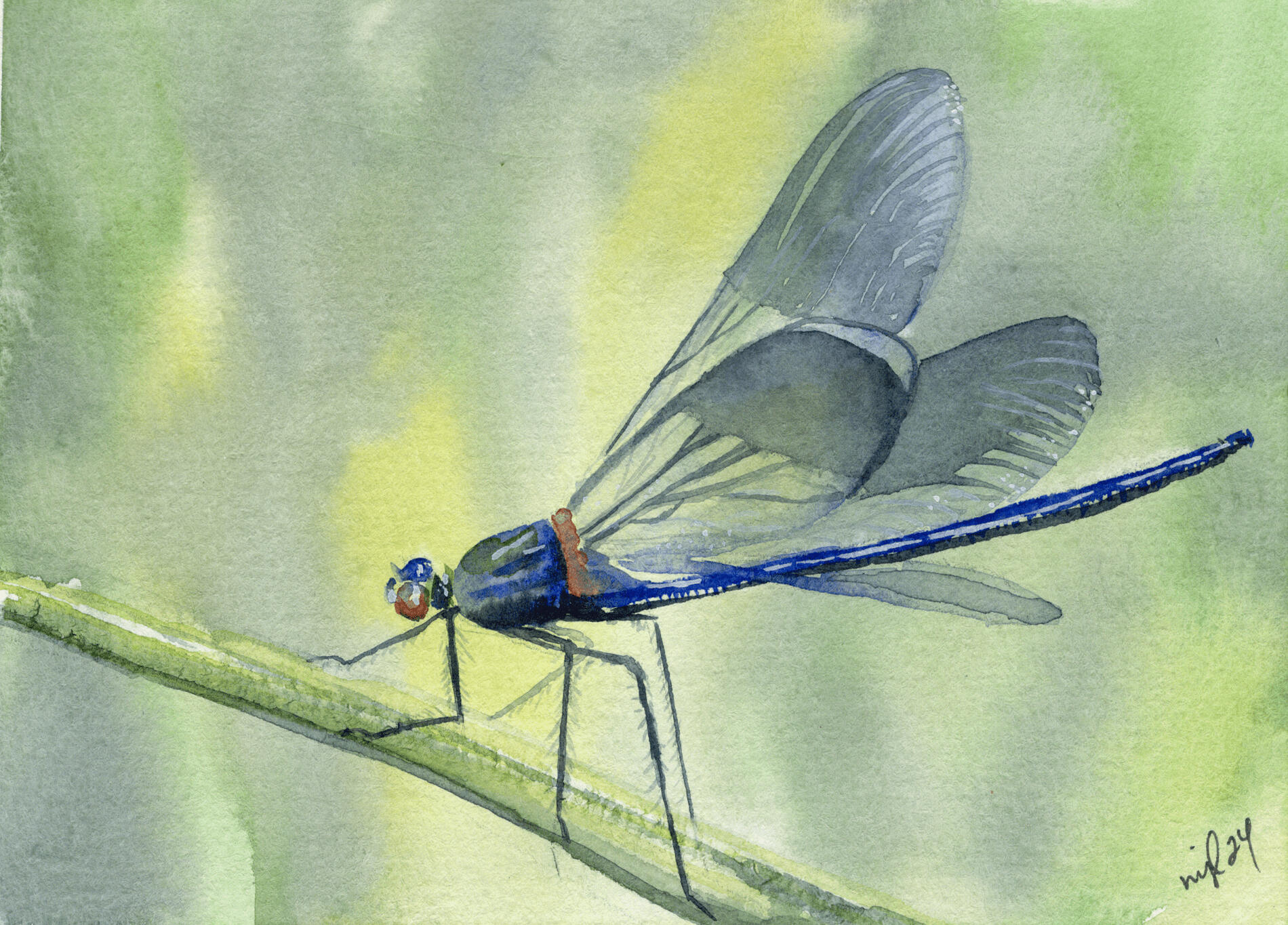 Watercolor 5 x 7 "Dragonfly" $52