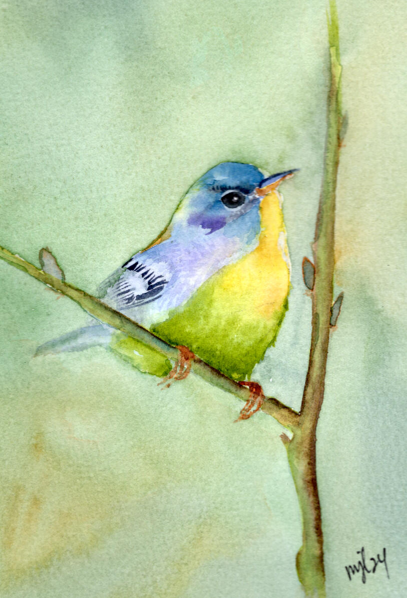Watercolor 4 x 6 "Blue & Yellow Bird" $36