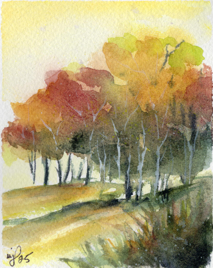 Watercolor 3.5 x 4.5 "Fall White Tree" $23